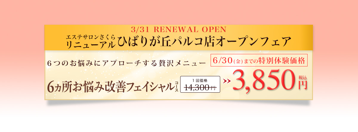 この機会をお見逃しなく お早めにお申し込みください