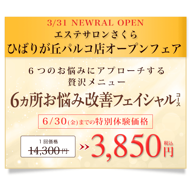 ウェブ限定価格 先着30名様 2014年12月末日まで この機会をお見逃しなく お早めにお申し込みください